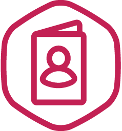 icon6.256