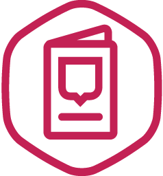 icon7.256