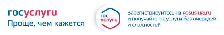 2016-11-16 11_16_15-Описание раздела электронные услуги [Режим ограниченной функциональности] - Micr