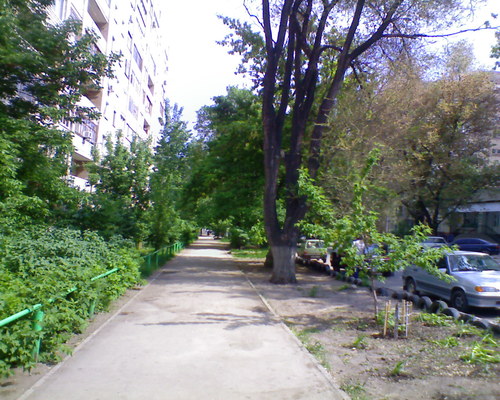 шелковичная