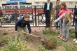 Во Фрунзенском районе состоялась акция «Сад памяти»