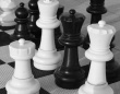В День России в Саратове состоялся онлайн-турнир по шахматам