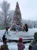Состоялось торжественное открытие новогодней ели в Городском парке
