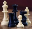 Сегодня в Городском парке пройдет турнир по «быстрым шахматам»