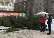 В Октябрьском районе ведется борьба с незаконной торговлей елок