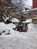 Во Фрунзенском районе ведется уборка территории от снега и наледи