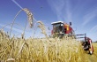 Предусмотрены меры государственной поддержки сельскохозяйственной кооперации