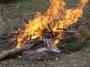 В Саратове запрещается разводить костры, сжигать мусор, листву, тару, производственные отходы
