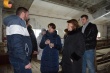 Депутаты Саратовской городской Думы посетили приют временного содержания животных в Новых Бурасах