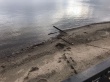 В Октябрьском районе прошли работы по очистке берега Волги на Новой Набережной
