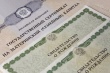 Определен порядок единовременной выплаты в размере 20 тысяч рублей из средств материнского капитала 