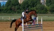 Состоялся чемпионат города Саратова по конному спорту 