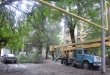 В Заводском районе приступили к масштабным работам по санитарной обрезке деревьев