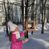 В общеобразовательных учреждениях Ленинского района прошла акция «Покорми птиц зимой»