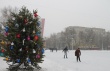 В Детском парке установили новогоднюю елку