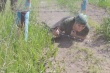 На полигоне рядом с селом «Рыбушка» прошли учебные сборы десятиклассников Кировского района