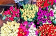 Начали свою работу краткосрочные ярмарки по продаже цветочной продукции, приуроченные к празднованию  8 Марта