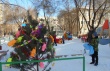 В Заводском районе в 30 дворах установили новогодние елки