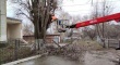  В Кировском районе продолжаются работы по опиловке и сносу аварийных деревьев