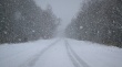В Саратов возвращается снегопад