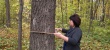 В Саратовском городском лесничестве прошла тренировка по определению характеристик лесных насаждений