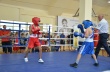 В Саратове открыли межрегиональный турнир по боксу памяти Владимира Высоцкого