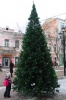 На проспекте Кирова установили новогоднюю ель