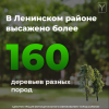 В Ленинском районе завершаются работы по озеленению