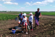 Гагаринский район собрал самый большой урожай в Правобережье
