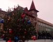 На проспекте Кирова установили еще одну елку