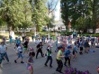 Во Фрунзенском районе завершается летняя оздоровительная кампания 