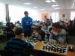 «Шахматная семья»