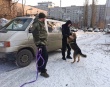 На территории Октябрьского района состоялся выезд с целью выявления безнадзорных животных