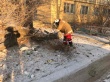 Сотрудники городской Службы спасения ликвидировали аварийное дерево, нависающее над входом в жилой дом
