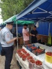 В Заводском районе прошли мероприятия по пресечению незаконной уличной торговли