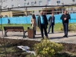 Игорь Молчанов проконтролировал ход работ по высадке зеленых насаждений