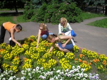 В Саратове активно идет подготовка к организации летней занятости подростков