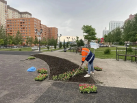 Продолжаются работы по благоустройству