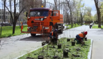 Работа по озеленению городских территорий продолжается
