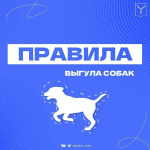 Напоминаем, что обращение с животными регулируется на законодательном уровне