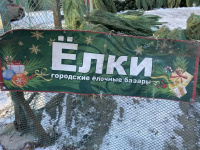 Началась работа базаров по продаже хвойных деревьев