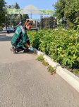 Сотрудники МБУ «Садово-парковое» продолжают трудиться над благоустройством Городского парка культуры и отдыха им. Горького