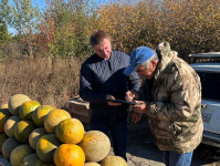 В Заводском районе проведен рейд по выявлению фактов незаконной уличной торговли В Заводском районе проведен рейд по выявлению фактов незаконной уличной торговли