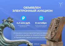 Объявлен электронный аукцион