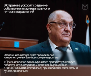 Озеленение города в числе приоритетных задач