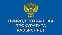 Саратовская межрайонная природоохранная прокуратура разъясняет