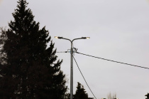 В Городском парке продолжается поэтапное обновление территории В Городском парке продолжается поэтапное обновление территории