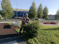 Уборка города