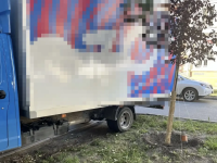 Зафиксированы факты парковки на зеленых зонах