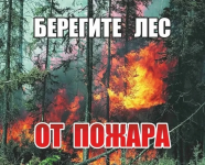 Саратовцам напоминают о пожароопасном периоде на территории региона 